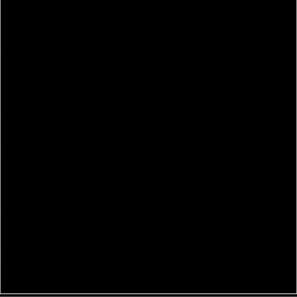 Empty